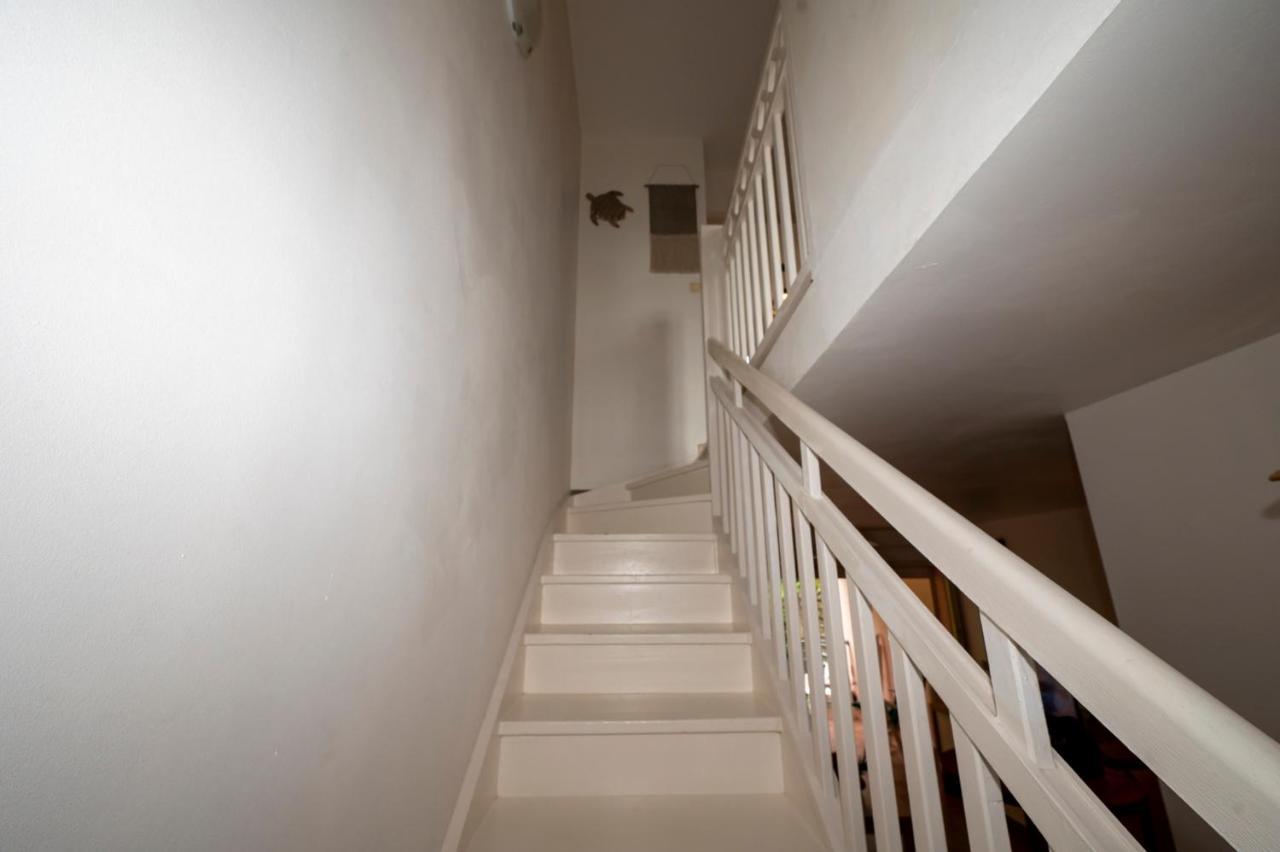 Reve De Palmier Apartment Le Gosier  Ngoại thất bức ảnh